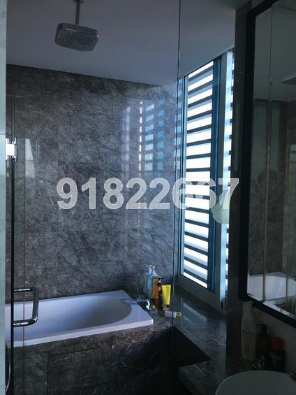 The Solitaire (D10), Condominium #114986812